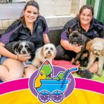 Dog Daycare Opens FULL TIME